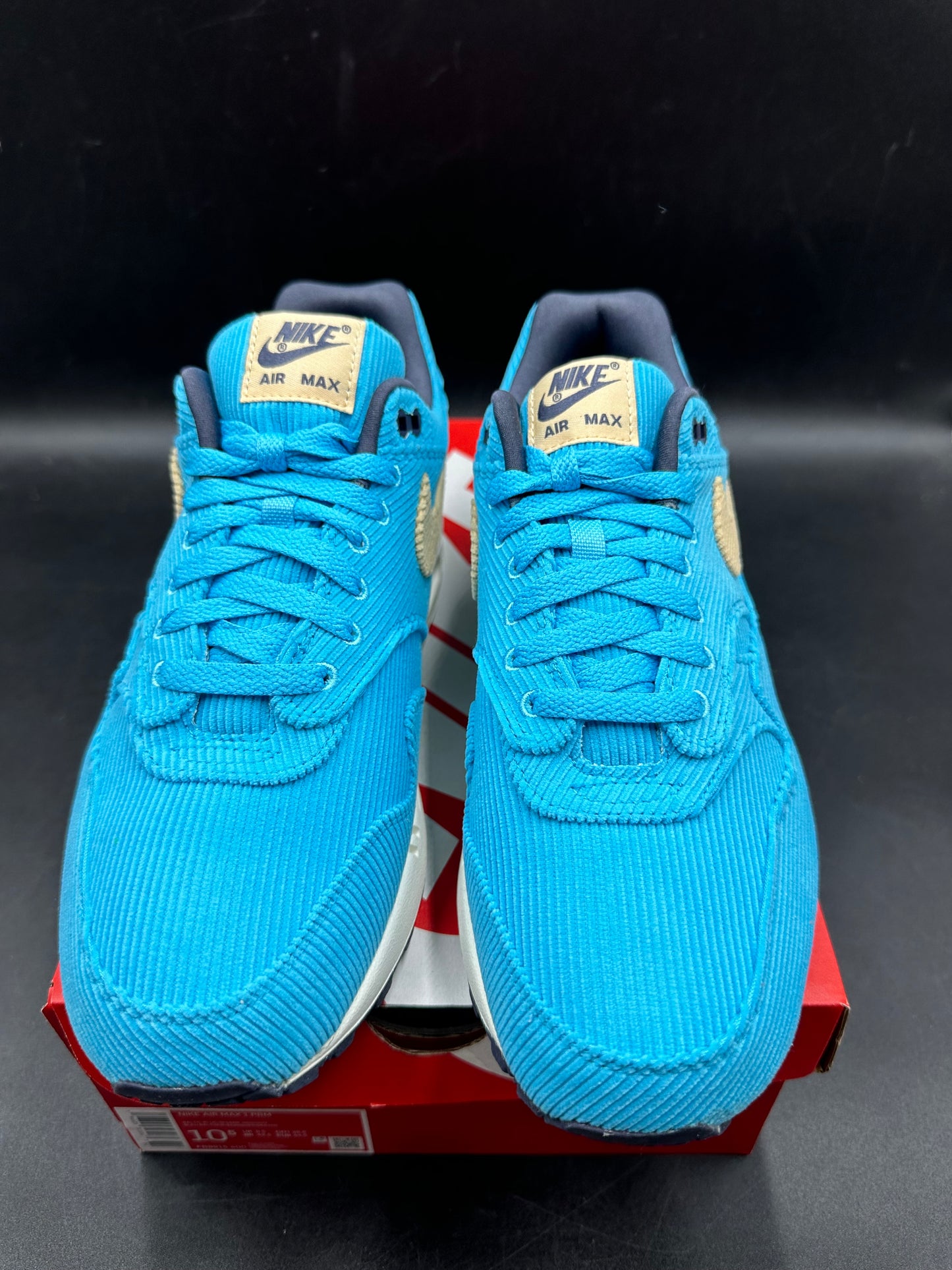 Air max 1 Baltic Blue