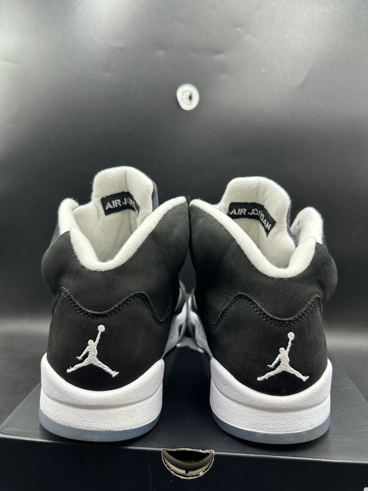 Jordan 5 Moonlight