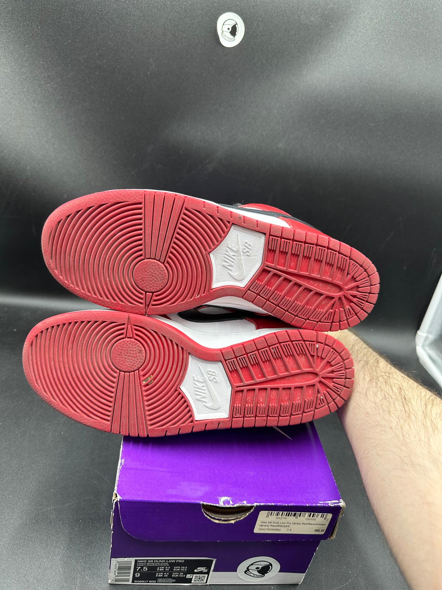 Dunk sb Chicago