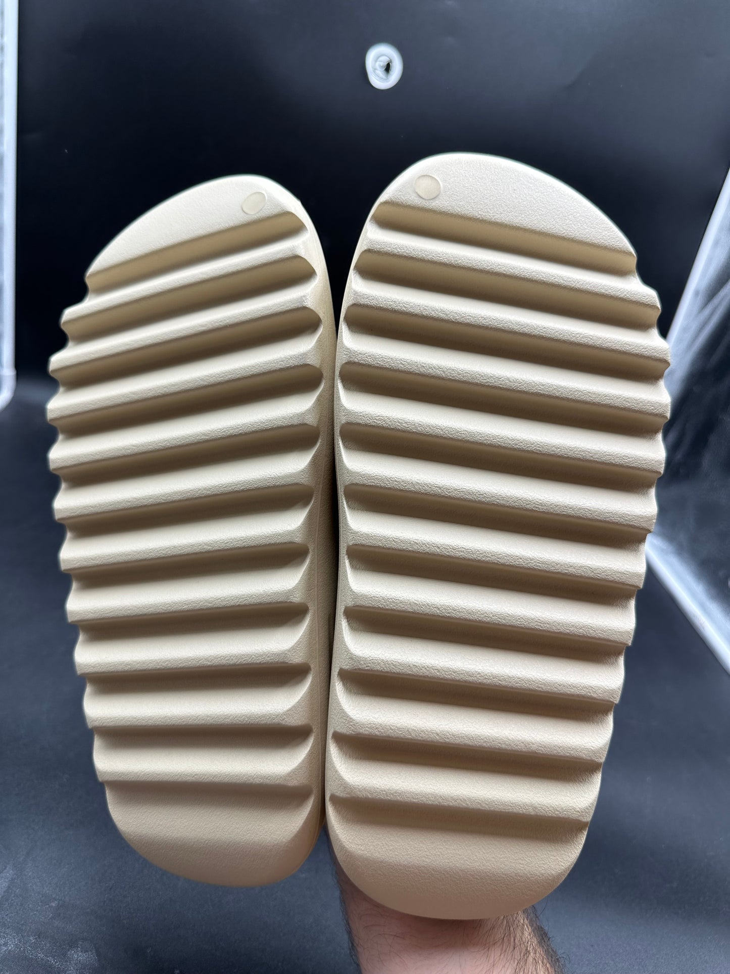 Yeezy slide bone 2022/2023